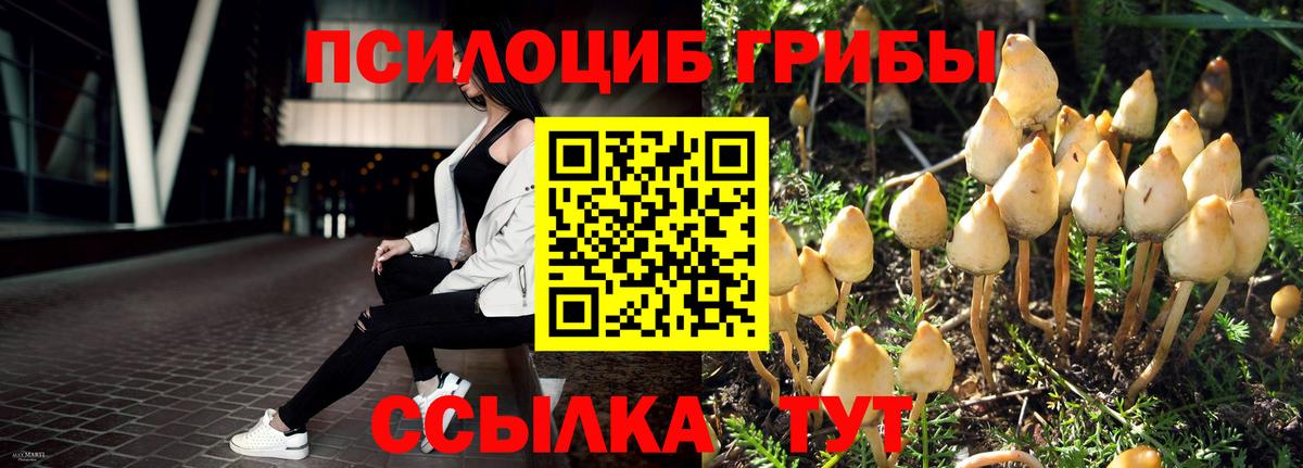 Галлюциногенные грибы Magic Shrooms Баксан